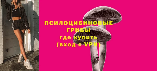 прущие грибы Алексеевка