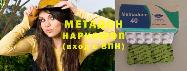 прущие грибы Алексеевка