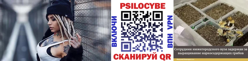 Галлюциногенные грибы Cubensis  дарнет шоп  Кириши 
